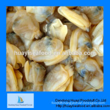 frozen best quality live seafood clams